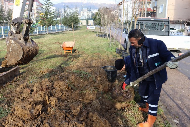 Kocaeli İzmit Yeşilova Mahallesi'nde bitkilendirme çalışması -