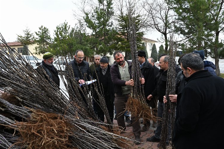 Konya'dan 50 milyon liralık tarımsal destek -