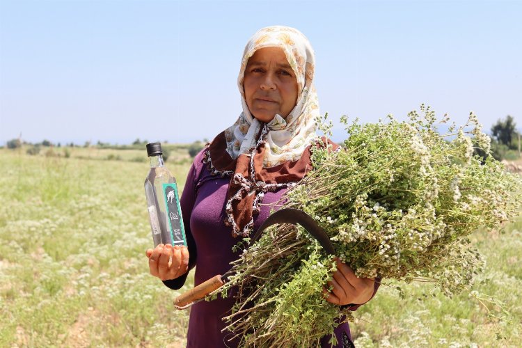 Kırsal turizmde kalkınmanın öncüsü olacaklar -