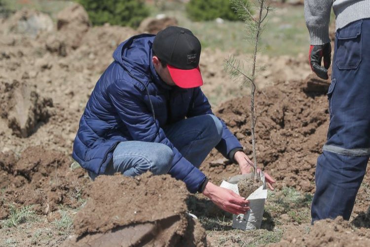 Kütahya'da Haydar Aliyev anısına fidan dikildi -