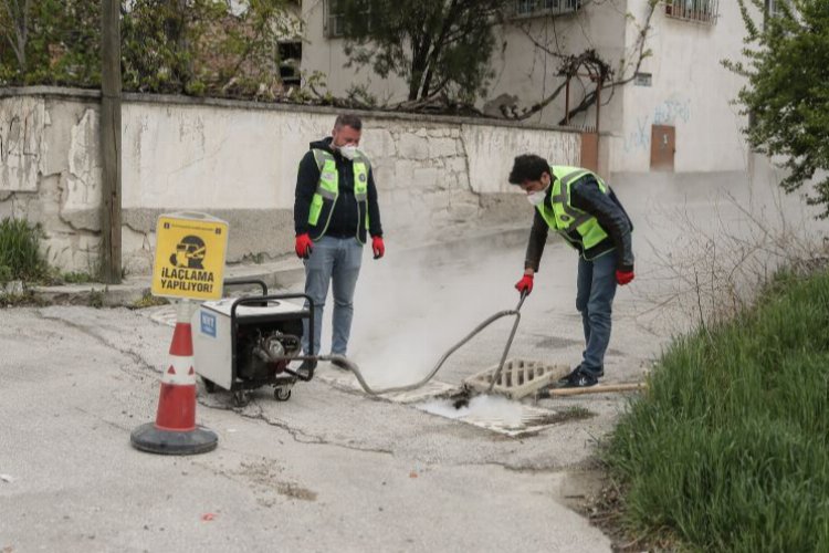 Kütahya'da karasinek ve sivrisinek ilaçlama çalışması -
