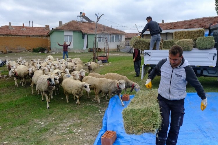 Küçük üreticiye can suyu gibi destek -