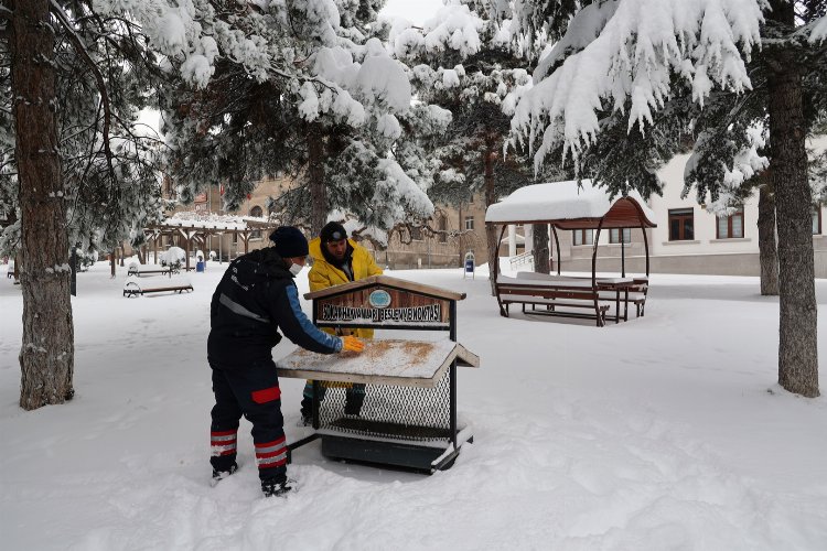 Kuşlar için parklardaki beslenme odaklarına buğday bırakıldı -