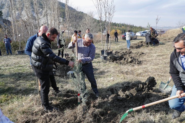 Kütahya Belediyesi'nden ağaçlandırma etkinliği -