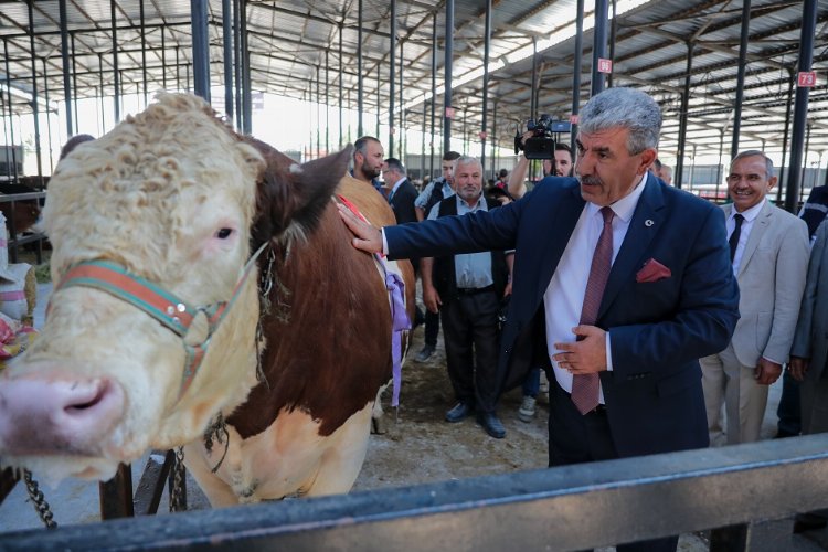 Kütahya'da 'Kurban Pazarı' açıldı -