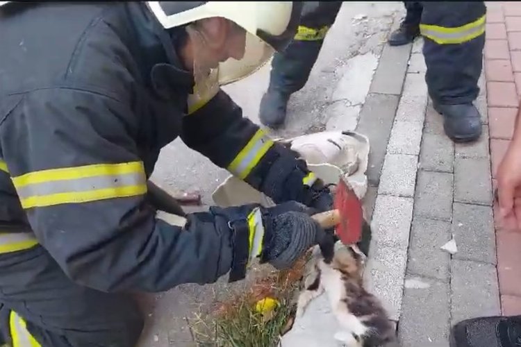 Lavaboya sıkışan yavru kedi kurtarıldı -