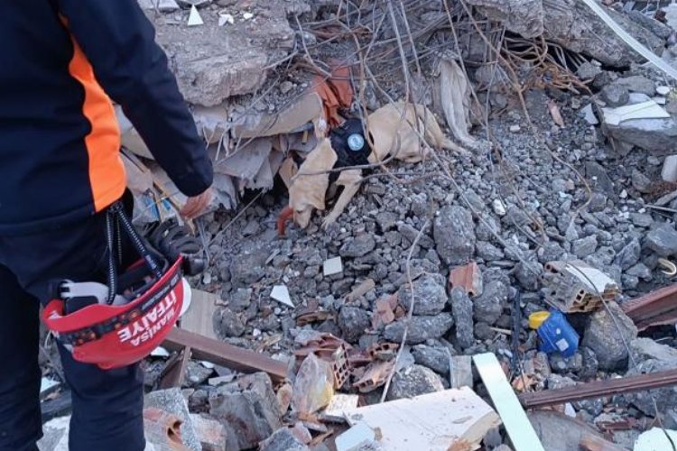 Lidya’nın işaret ettiği bölgelere odaklanıldı -