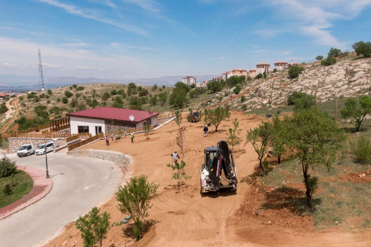 Malatya Beydağı Tabiat Parkı ağaçlandırılıyor -