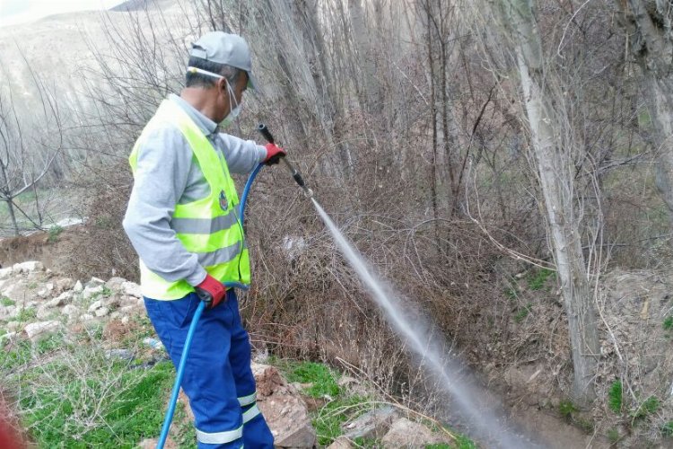 Malatya'da haşerelere karşı çalışmalar devam ediyor -