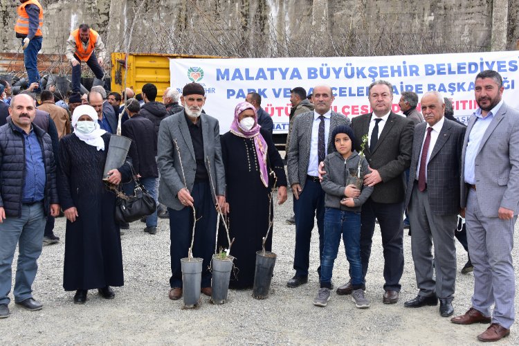 Malatya'da kayısıya alternatif meyve fidanları dağıtıldı -