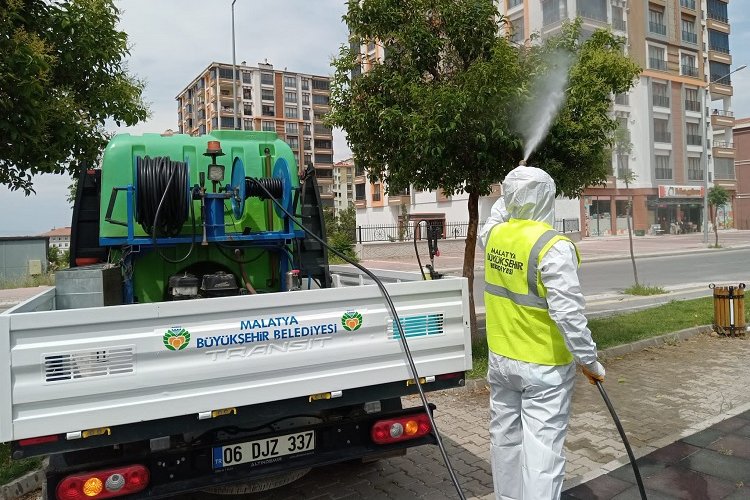 Malatya haşereyle yoğun mücadele veriyor -