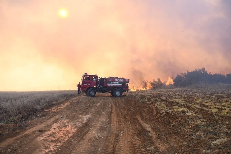 Malkara'daki orman yangını söndürüldü -