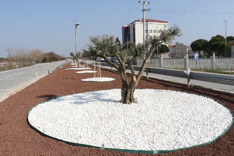 Manisa Akhisar’da 7 kilometrelik peyzaj çalışması -