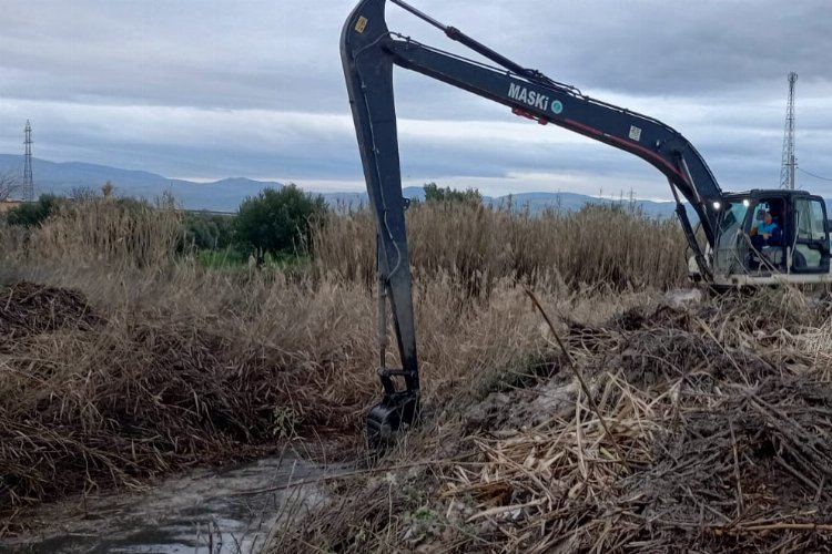 Manisa Akhisar'da dere temizliği -