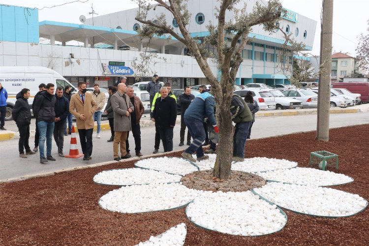 Manisa Akhisar'da peyzaj çalışması -