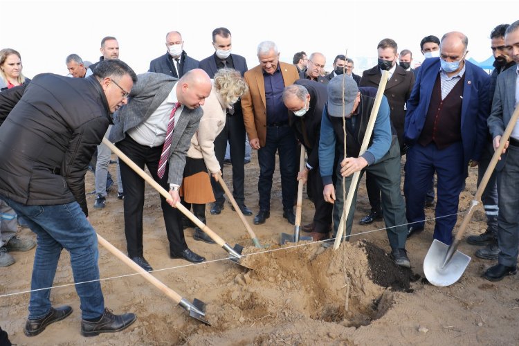 Manisa Alaşehir'de cennet hurmaları toprakla buluştu -