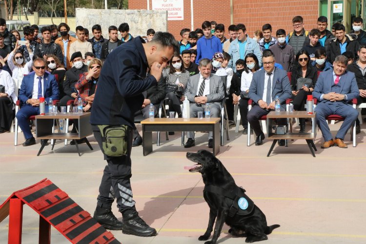 Manisa Büyükşehir'den 'Can Dostum' projesi -
