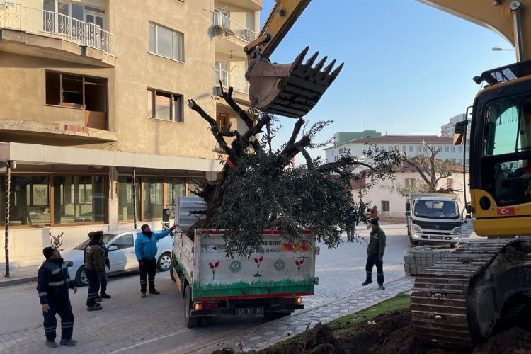 Manisa Büyükşehir’den yeşilin korunması için büyük hassasiyet -