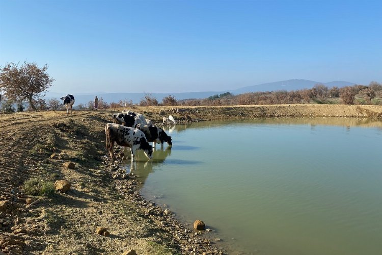Manisa'da 2022'de 118 gölet yenilendi -