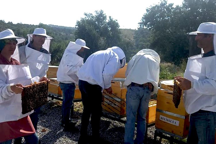 Manisa'da arıcılık eğitiminde yeni dönem -