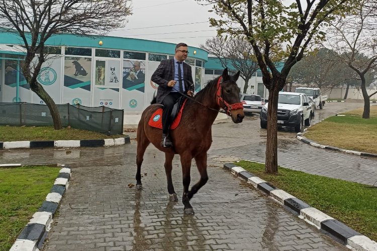 Manisa'da 'Atlı Zabıta' göreve hazırlanıyor -