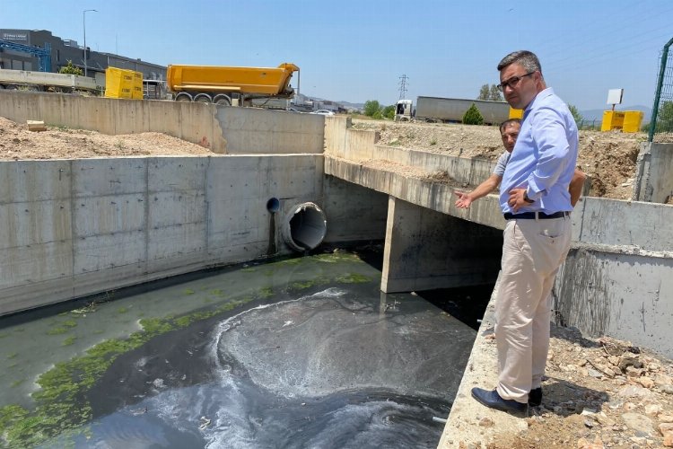 Manisa’da haşere alarmı! -