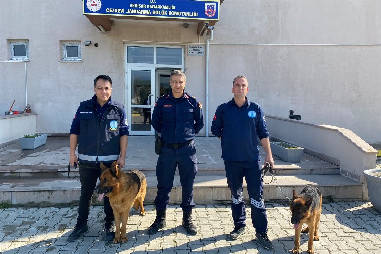 Manisa'da iki can dostunu Jandarma sahiplendi -