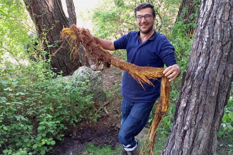 Manisa'da içme suyu hattından metrelik kunduz çıktı -