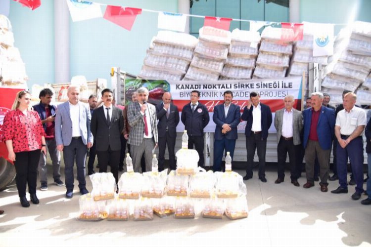 Manisa'da kırsalda kalkınma çalışması -