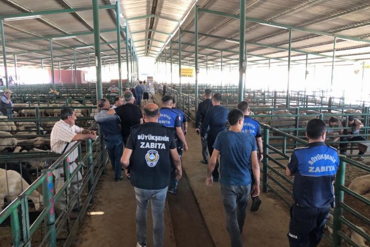 Manisa'da kurban satış yerleri Zabıta denetiminde -
