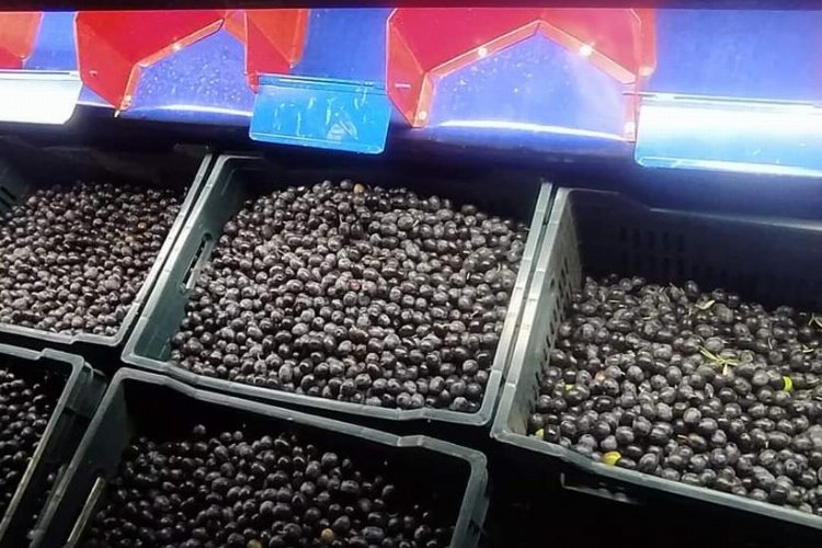 Manisa'da makine desteği yüzleri güldürüyor -
