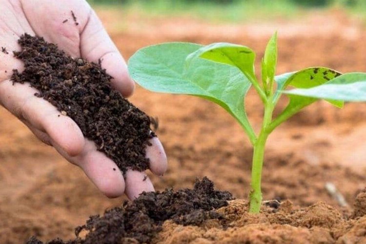 Manisa'da üreticiye gübre desteği -