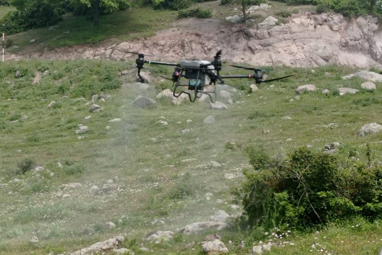 Manisa'da tarla çekirgelerine 'drone'lu mücadele -