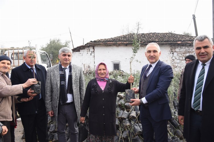 Manisa'da tarım arazisi yanan üreticilere fidan desteği -