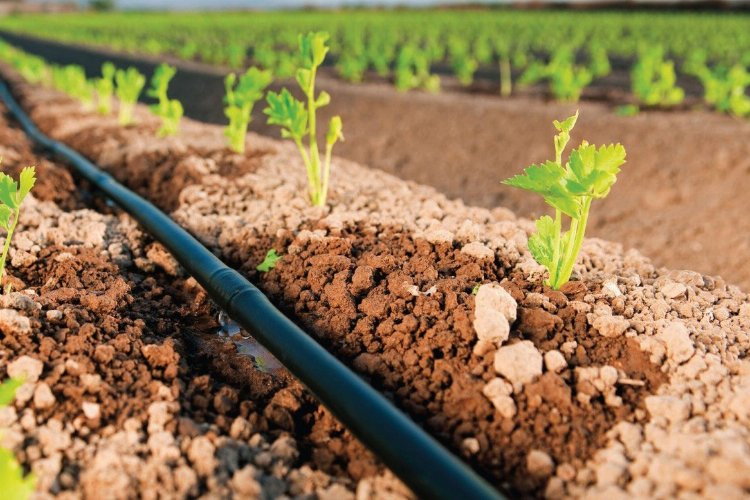 Manisa'da tarımsal sulamaya 22 milyon TL'lik destek -