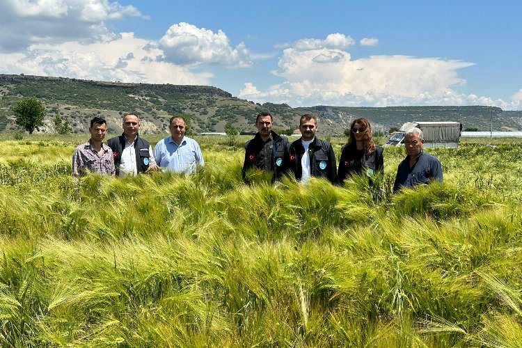 Manisa'da tohumların verimliliği yüzleri güldürüyor -