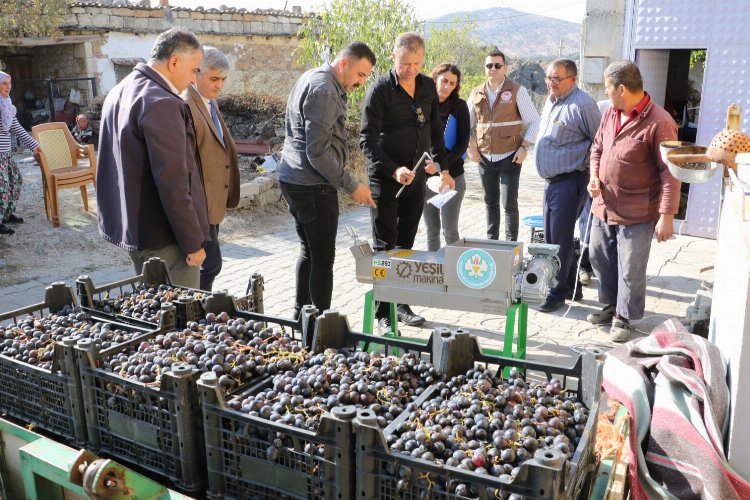 Manisa'da üzümün tadı farklı olacak -