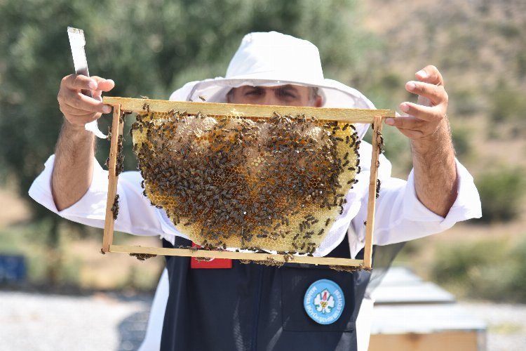 Manisa'dan arıcılara 'kovan' desteği -