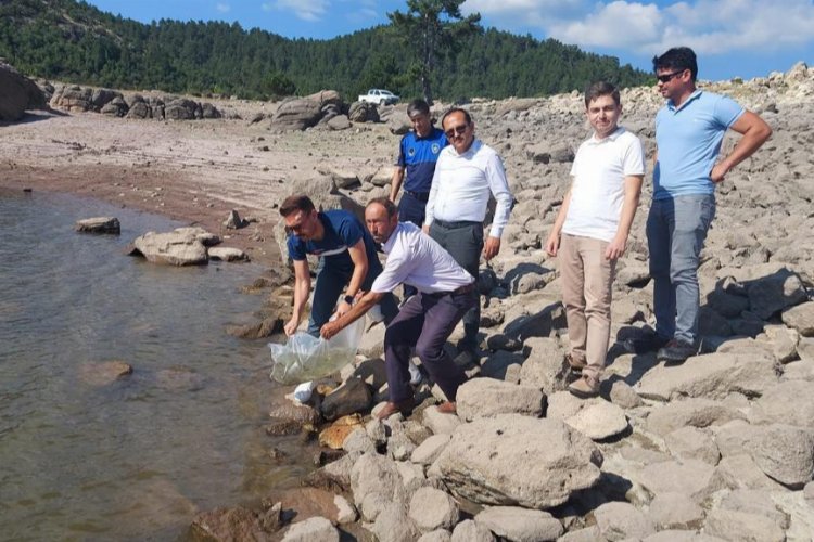 Manisa göletlerine 8 bin yavru sazan bırakıldı -