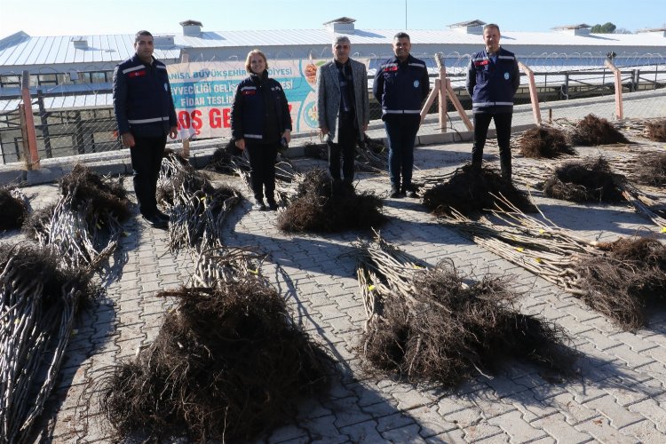 Manisa Gördesli üreticilere fidan desteği -