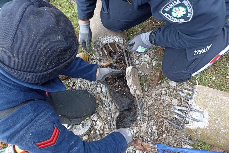 Manisa İtfaiyesi'nden hayat kurtaran müdahaleler -