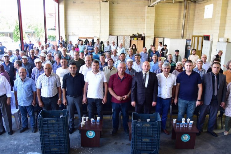 Manisa Kula'da 210 üreticiye daha zeytin kasası desteği -