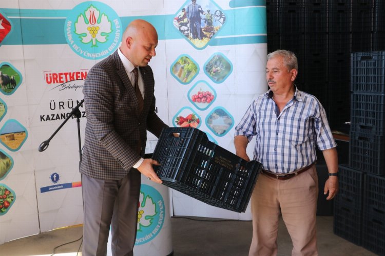 Manisa Sarıgöllü üreticiler de zeytin kasalarına kavuştu -