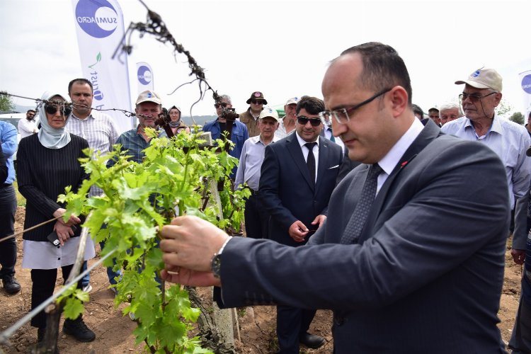 Manisa tarımında biyoteknik mücadele -