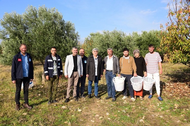 Manisa Turgutlu’da zeytin emekçilerine malzeme -