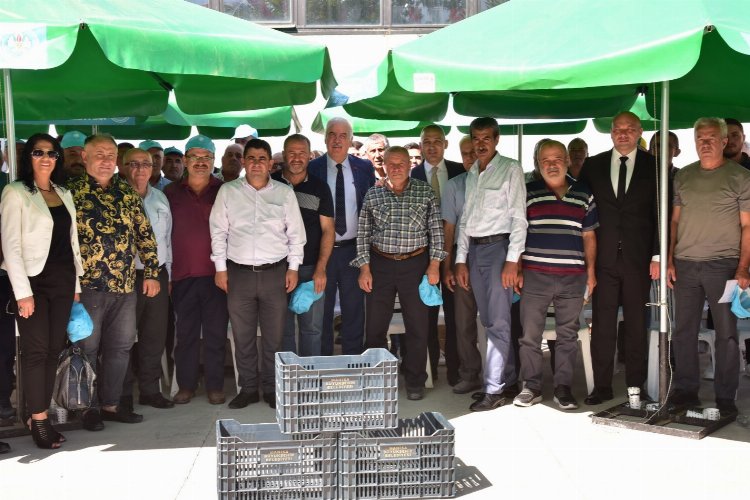 Manisa üreticilere 72 bin zeytin kasasını dağıttı -