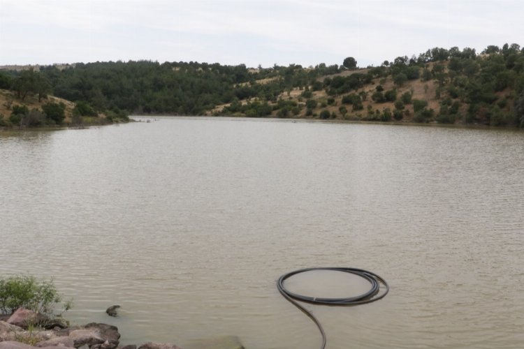 Manisa Yunusemre'de damla sulama sezonu -