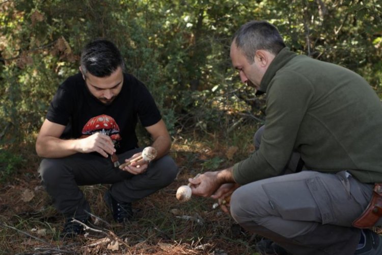 Mantar avcıları Bursa İnegöl'de buluştu -