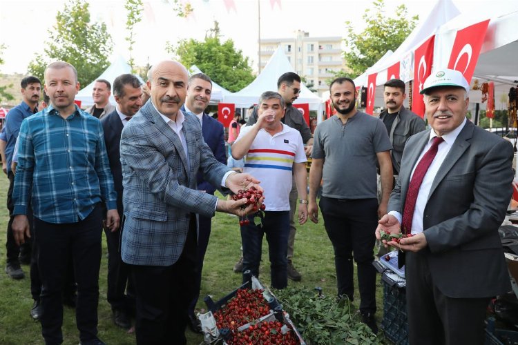 Mardin'de 16. Kiraz Festivali başladı -