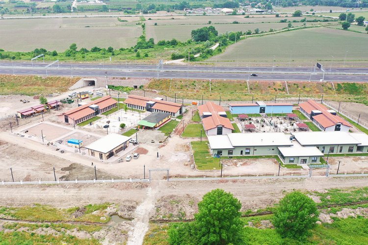Marmara'nın yuvası patili dostlar için gün sayıyor -